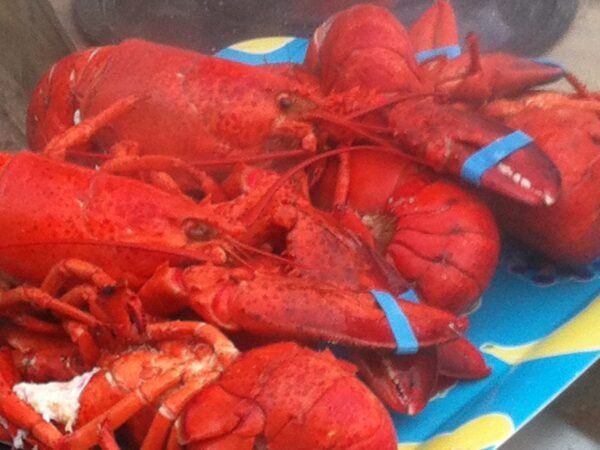 How to Tell if Lobster Is Bad