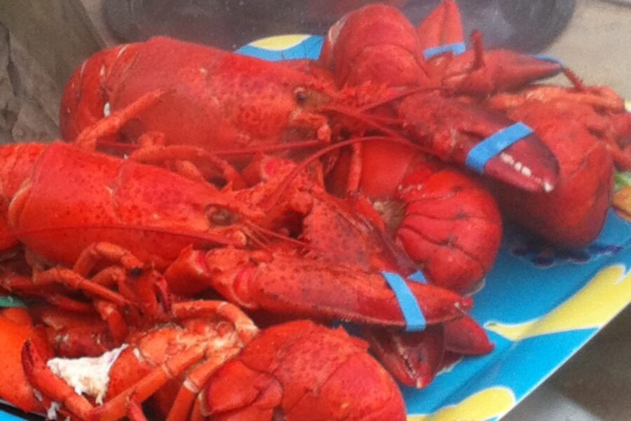 How to Tell if Lobster Is Bad